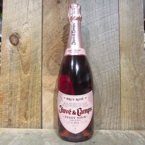 Juve y Camps Cava Pinot Noir Rose Brut 750ml